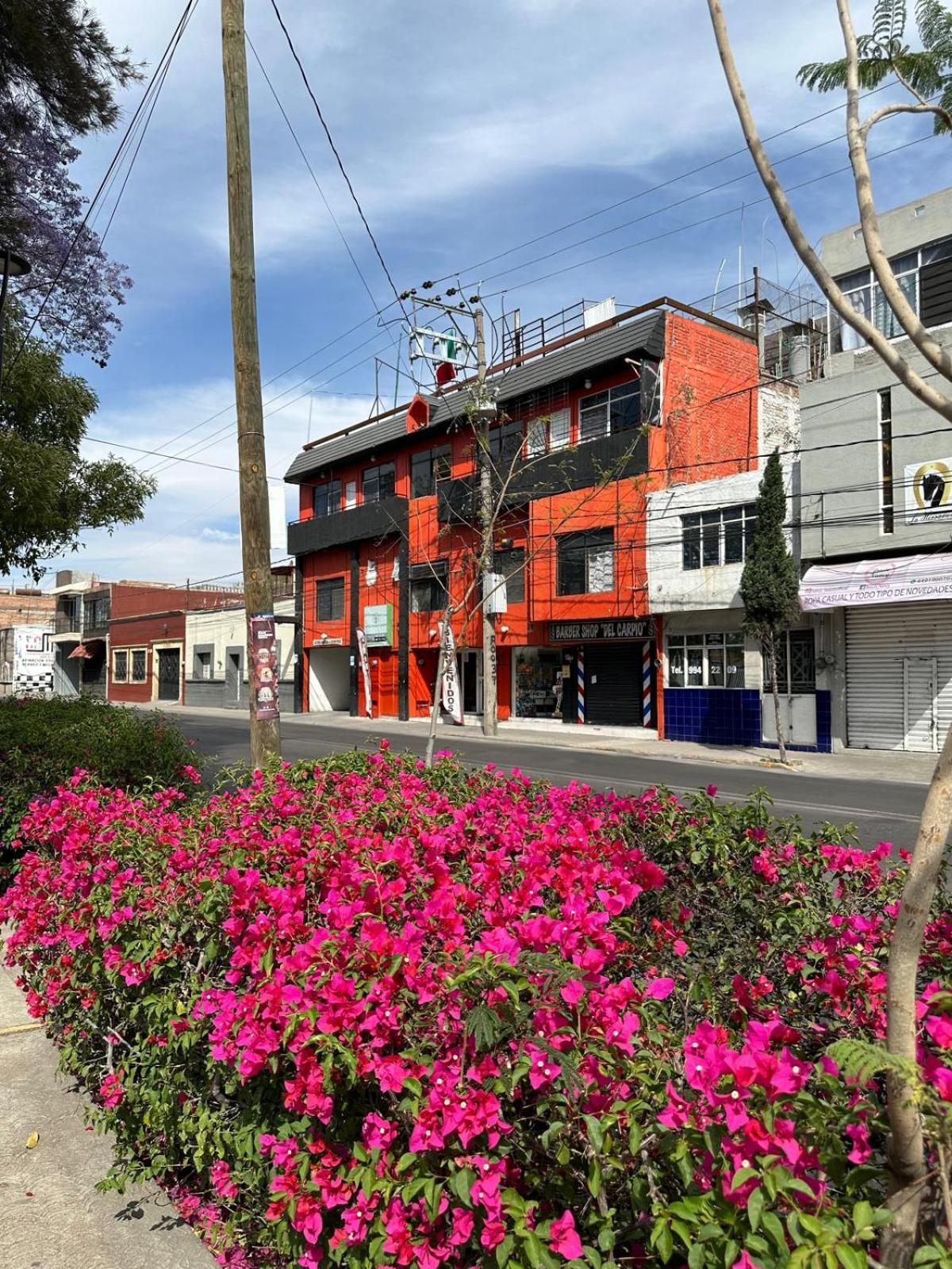 Hotel Posada Jardin Aguascalientes Exterior photo